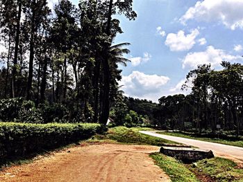 Footpath leading to dirt road