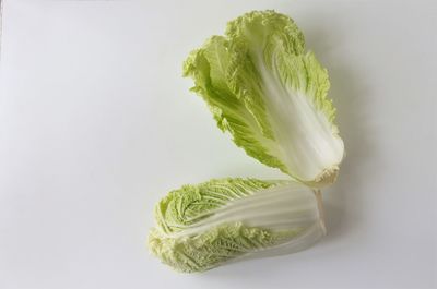 Close-up of cabbage against white background