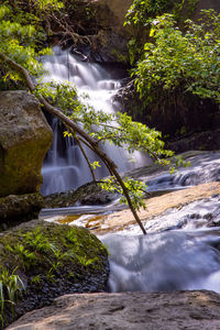 Water flowing through rocks in forest