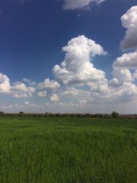 Scenic view of field against sky