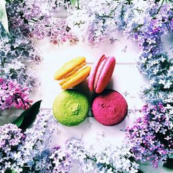 Multi colored fruits on flowers