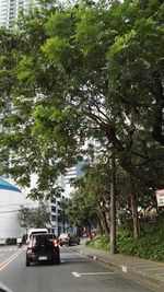 Cars on road in city