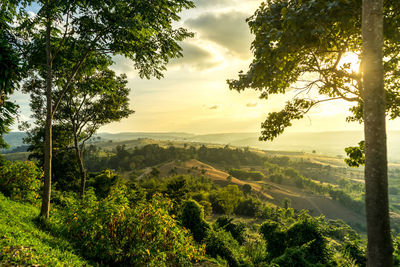 Scenic view of landscape against sky during sunset