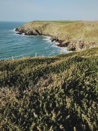 Scenic view of sea against clear sky