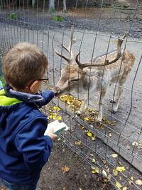 Boy looking at camera in zoo