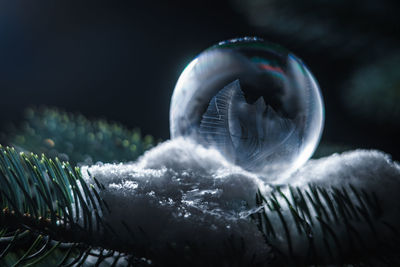 Close-up of bubbles