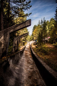 Empty road amidst trees against sky