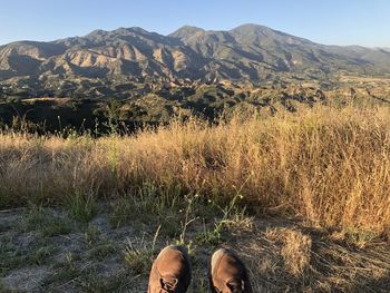 Low section of person relaxing on land