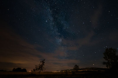 Trees against sky at night