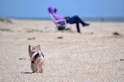 Woman on beach