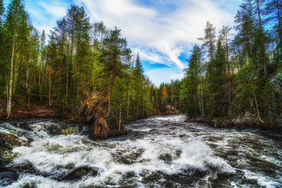 Scenic view of waterfall in forest against sky