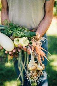 Close-up of hand holding plant