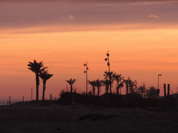 Silhouette palm trees on landscape against orange sky