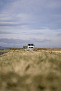 White van driving through the rice field