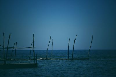 Sailboats in sea against clear blue sky