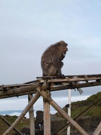 Low angle view of sitting on railing against sky