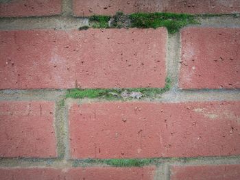 Full frame shot of brick wall