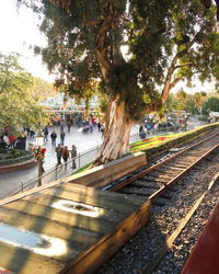 People walking on footpath in city