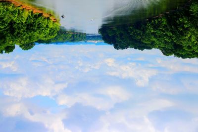 Scenic view of trees against sky