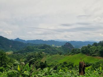 Scenic view of landscape against sky