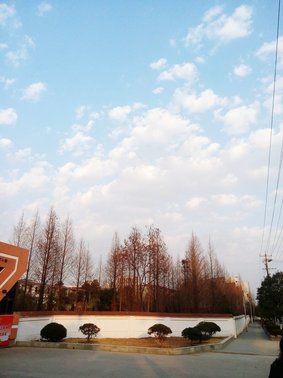 transportation, land vehicle, mode of transport, car, sky, tree, cloud - sky, parking, road, street, stationary, sunset, parked, bare tree, nature, parking lot, outdoors, cloud, travel, cloudy