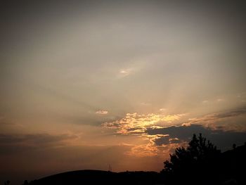 Low angle view of silhouette trees against sky during sunset