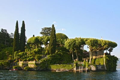 Trees growing on hill by lake against sky