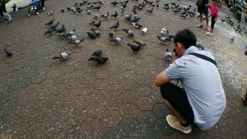 Full length of man photographing pigeons on footpath