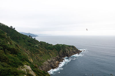 Bird flying over sea against sky