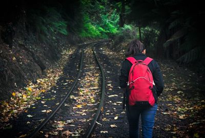 Rear view of person standing on railroad track in forest