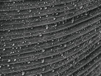 Full frame shot of raindrops on leaf