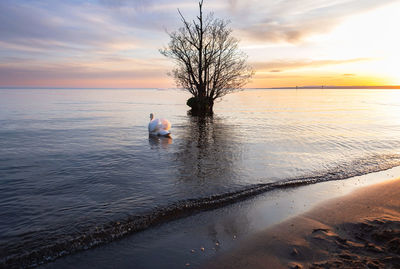 Rear view of man walking on beach against sky during sunset