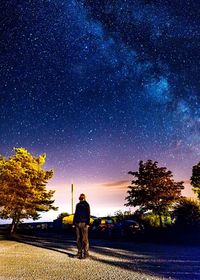 Silhouette of trees at night