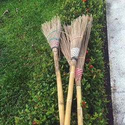 Directly above shot of brooms on plants at park