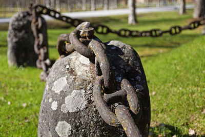 Close-up of rusty metal chain on field