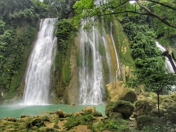 Scenic view of waterfall in forest