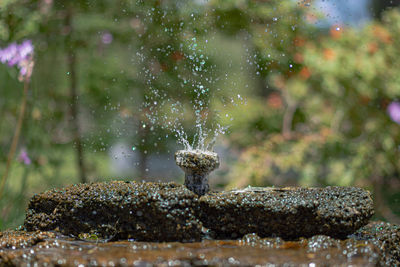 Close-up of water drops on rocks