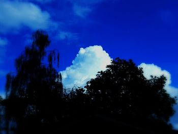 Low angle view of silhouette trees against sky