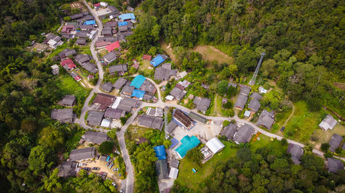 High angle view of trees and houses in village