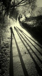 High angle view of shadow on sand