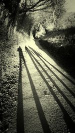 High angle view of shadow on sand