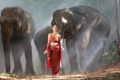 Portrait of young woman standing against elephants