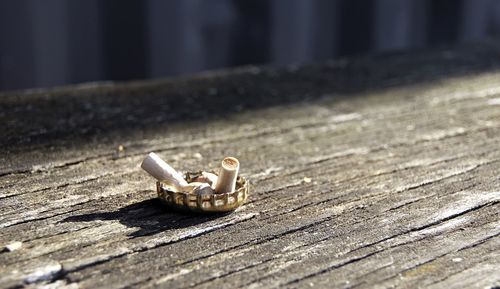 Wooden plank on boardwalk