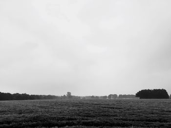 Scenic view of field against clear sky