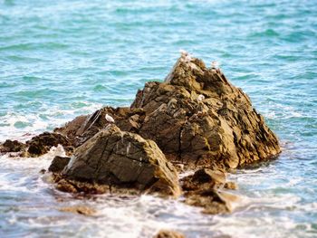 Rock formation on beach