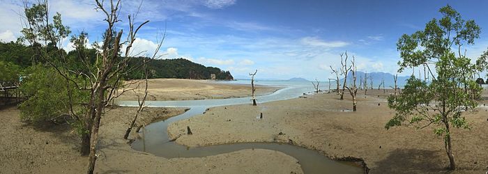 Scenic view of beach against sky