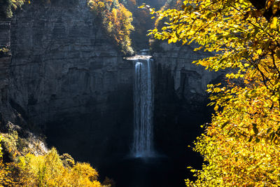 Scenic view of waterfall in forest during autumn