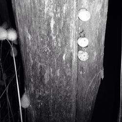 Close-up of wooden plank