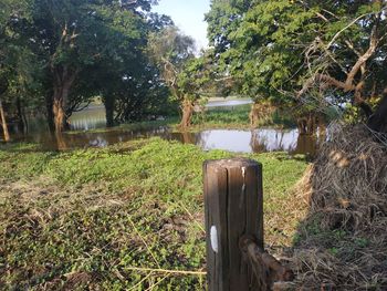 Wooden post in a field