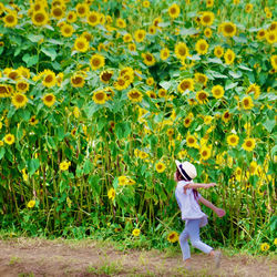 Full length of woman standing by flowering plants